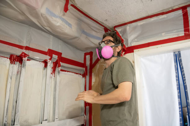 Northview, MI Mold Removal Company