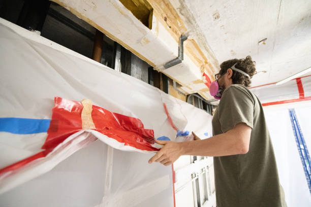 Best Attic Mold Removal  in Northview, MI