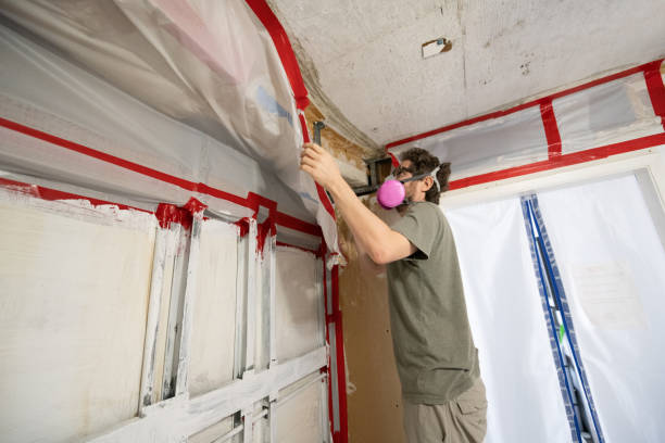 Best Asbestos and Lead Testing During Mold Inspection  in Northview, MI