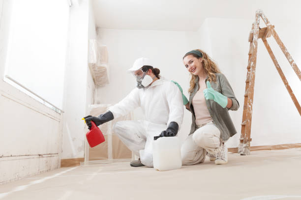 Best HVAC Mold Inspection and Cleaning  in Northview, MI